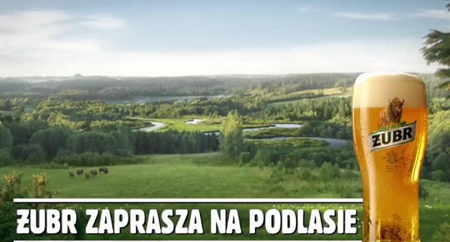 Żubr w letniej reklamie „zaprasza na Podlasie” (wideo)