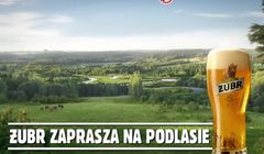 Żubr w letniej reklamie „zaprasza na Podlasie” (wideo)