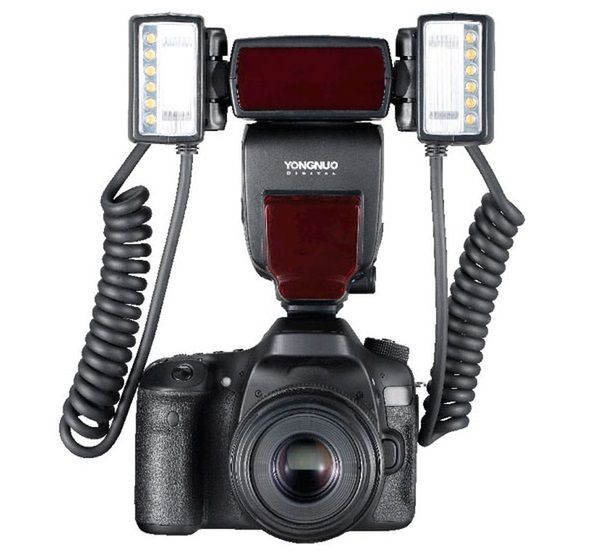 Yongnuo YN-24EX, czyli fotografia makro z błyskiem 3