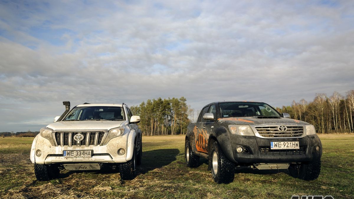 Zdjęcie ilustracyjne do artykułu