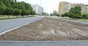 Przebudowa ulicy Komisji Edukacji Narodowej w Stalowej Woli. Jak idą prace? Rośliny będą posadzone jesienią.