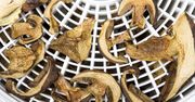 Suszysz tak grzyby? Nie będą nadawały się do jedzenia