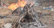 Dzienny rekord zgonów w Indiach. Powstają masowe stosy pogrzebowe.