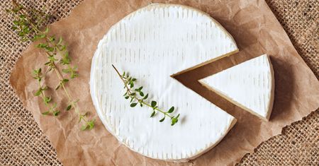 Ser Camembert