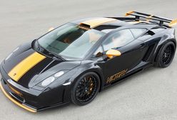 Hamann Gallardo Victory