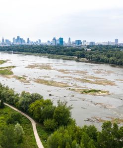 Dramatycznie niski poziom wody w Wiśle. Pogłębia się susza hydrologiczna