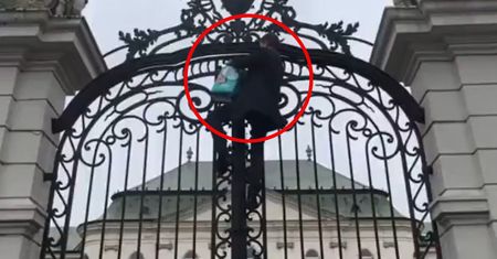 Zawiesili u Ficy paczkę pampersów. "Niech się przebierze i jedzie"