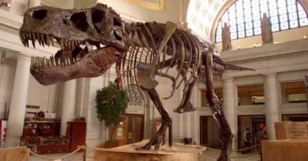 Dinozaury miały ten sam problem na starość, co ludzie. Zaskakujące!