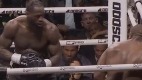 Szaleństwo. Wyczytali, co powiedział rywalowi tuż przed nokdaunem