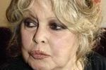 Brigitte Bardot do Carli Bruni: niech prezydent zakaże korridy