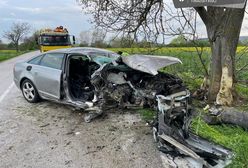 Audi uderzyło w drzewo, nie żyje pasażerka. Kierowca był pijany