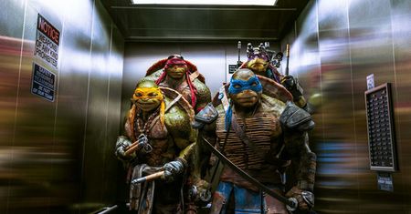 "Wojownicze żółwie ninja" dla Davida Greena