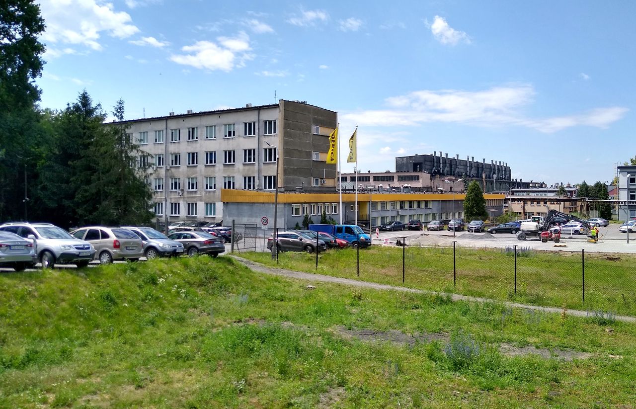 "Przykład robienia w konia inwestorów z Polski". Ekonomista komentuje politykę znanego zakładu