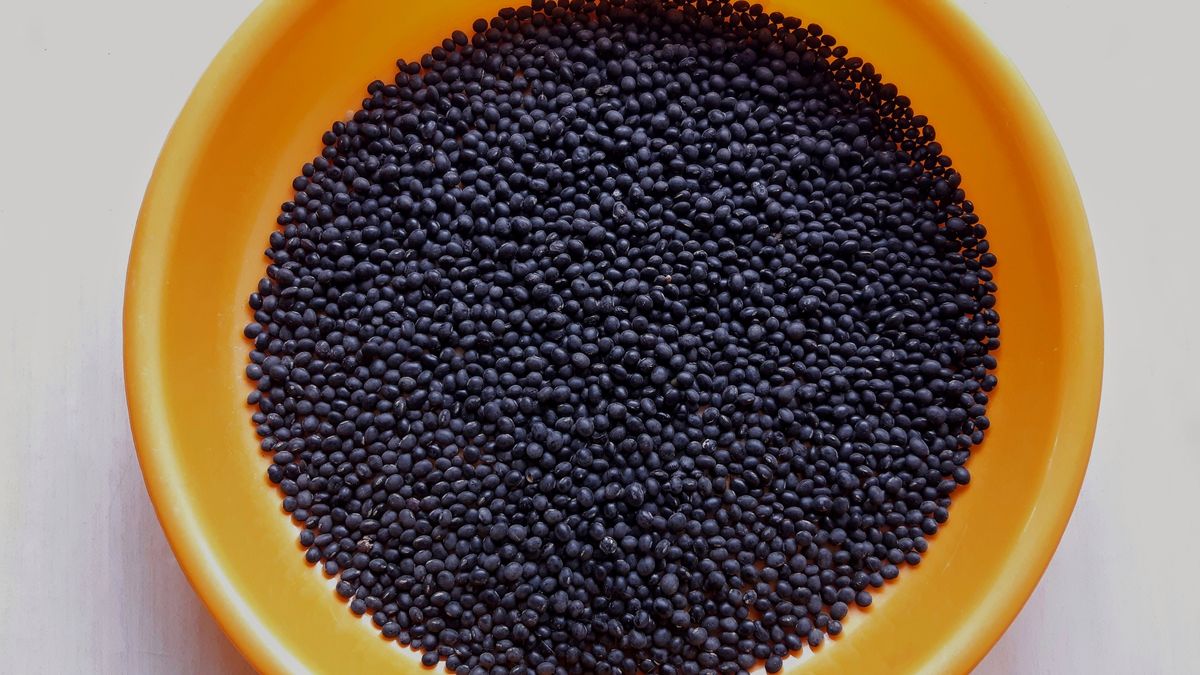 Dlaczego warto jeść fasolę?