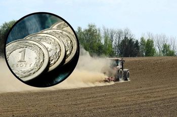 Rolnicy w gorszych nastrojach mimo poprawy koniunktury. Co się dzieje na wsi?