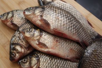 Polacy mają pod ręką, a jedzą rzadko. Jedna z najzdrowszych ryb