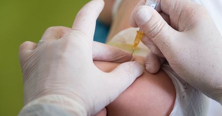 Wirus przy granicy z Polską. "Zagrożenie jest realne"