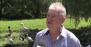 Pelikan uciekł z opolskiego zoo. Przechodnie zauważyli go w stawie we Wrocławiu