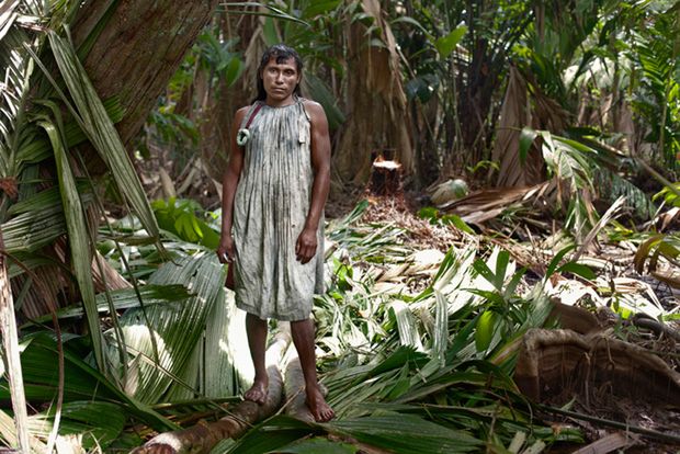 Plemię Warao zamieszkuje porośnięte wilgotnym lasem równikowym tereny delty Orinoko w północno-wschodniej Wenezueli i wschodniej Gujanie. W 1995 roku ich liczebność wynosiła ok. 25 tysięcy.
