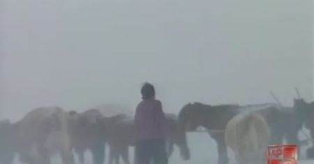 Mongolia również sparaliżowana atakiem zimy - video