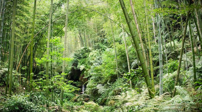 Chiny: ukryte królestwa