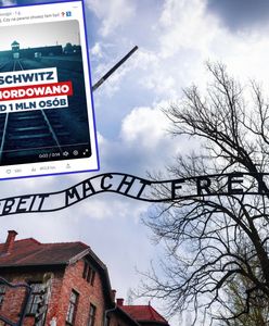 Muzeum Auschwitz o spocie PiS. "Przejaw moralnego i intelektualnego zepsucia"