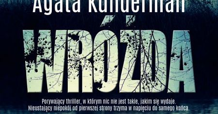 Tajemnica, zaginięcie dziecka, śledztwo prowadzone przez matkę… Tę powieść trzeba przeczytać!