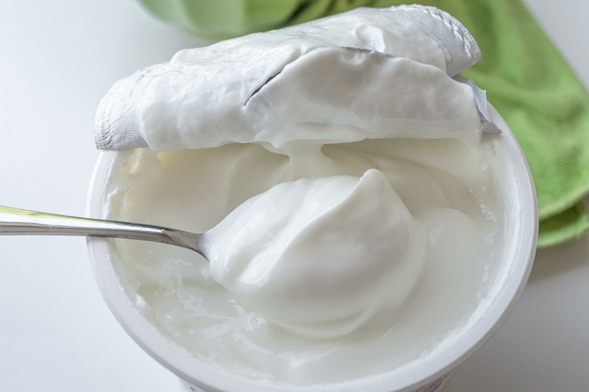Greek yogurt: A delicious path to a flat belly and healthy gut