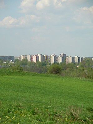 Obraz
