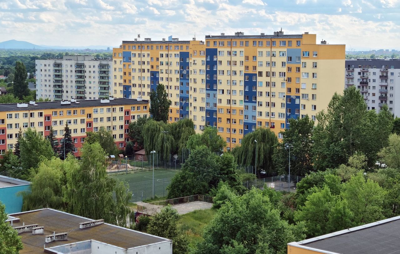 Podatki od nieruchomości. Wraca pytanie o kataster. "System wymaga zmian"