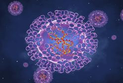 Rzadka tropikalna choroba rozprzestrzenia się w Europie. Ponad 40 nowych przypadków małpiej ospy