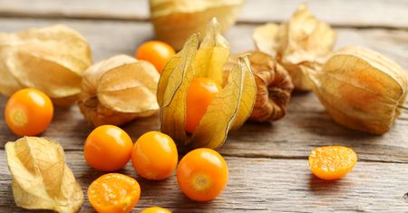 Physalis w Lidlu. Małe owoce skrywają wiele właściwości