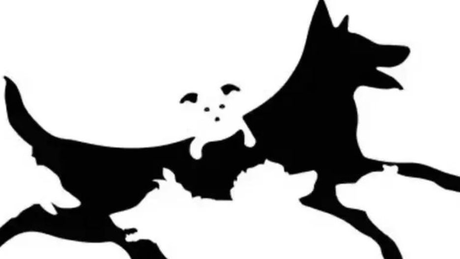 Jaki jest twój psychologiczny wiek?