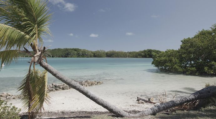 Parki Narodowe Ameryki