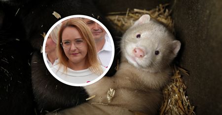 Likwidacja ferm futrzarskich. Będzie projekt. Wiadomo kiedy