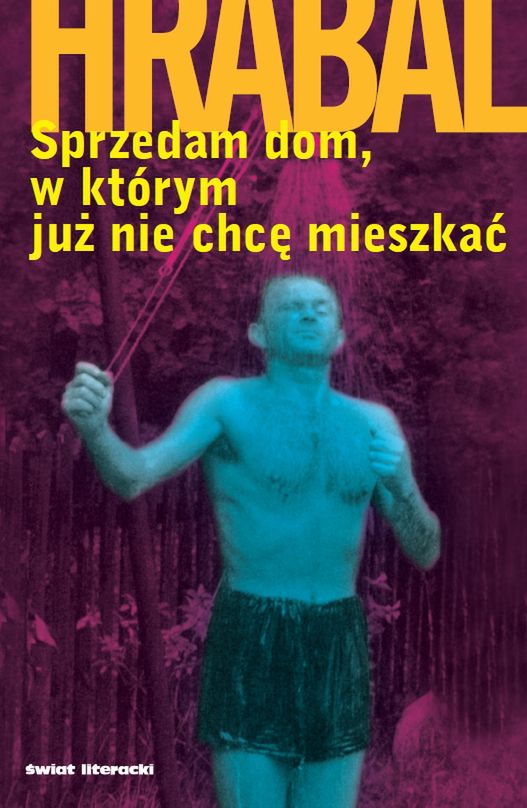 Obraz