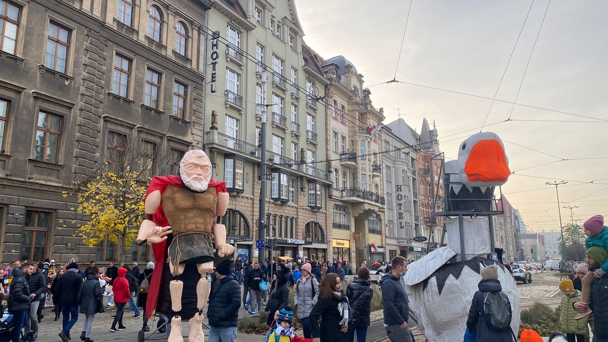 zdjęcie