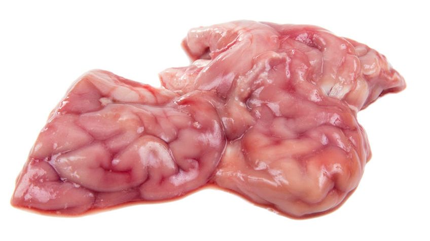 Surowy mózg wieprzowy