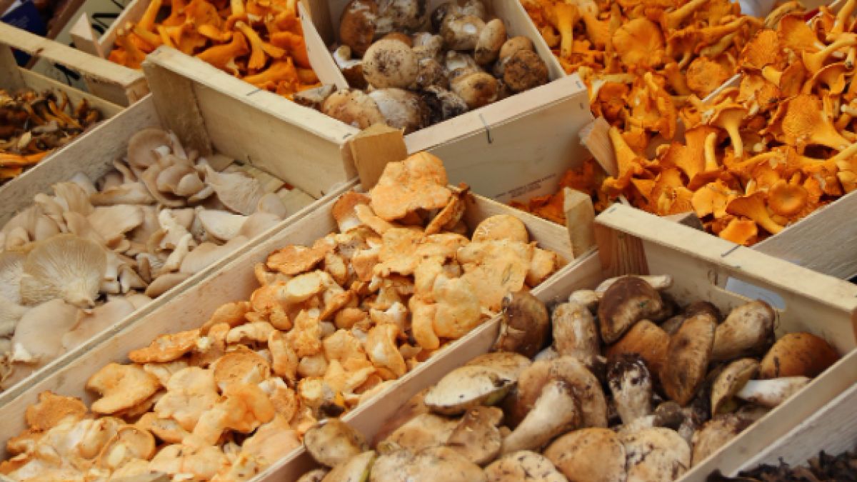 Kurki są źródłem beta-karotenu i zawierają witaminę B1