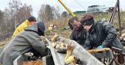 Bełchatów: Karp na Wigilię już odłowiony na Grobli Kluki