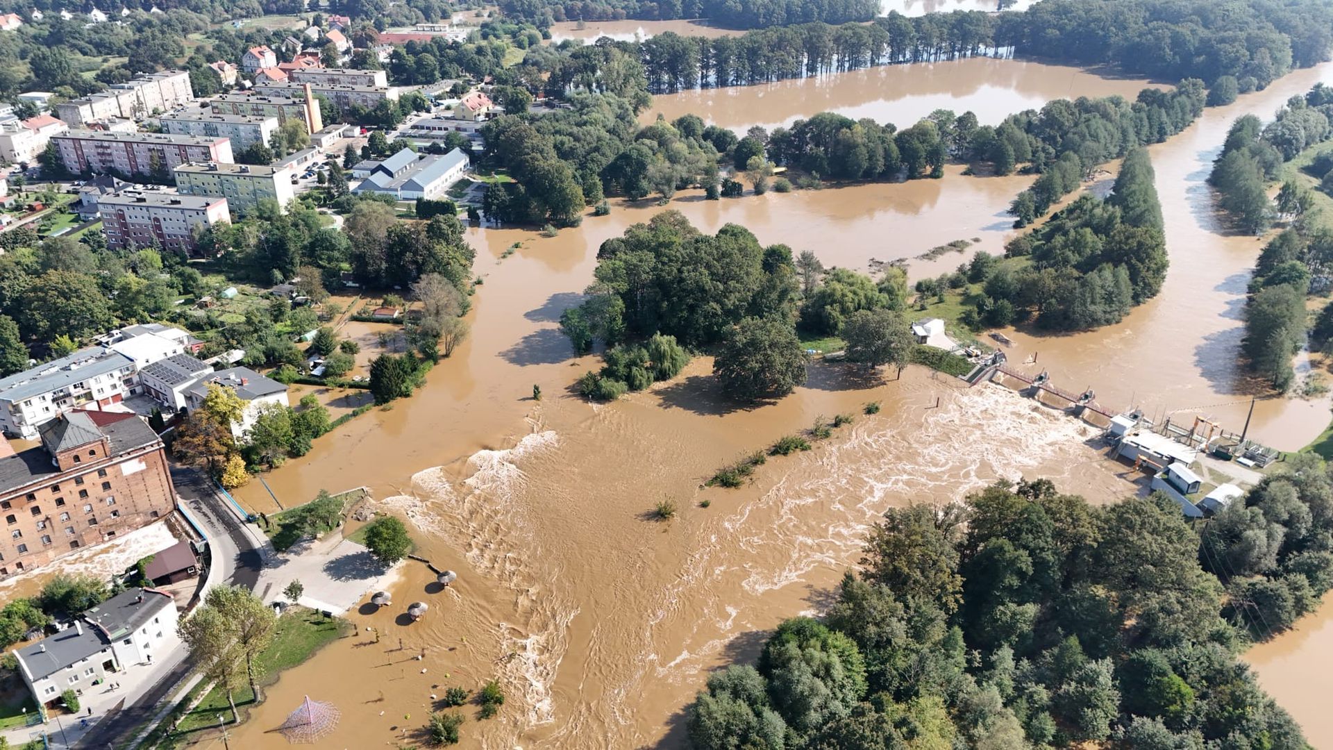 Szprotawa walczy z powodzią