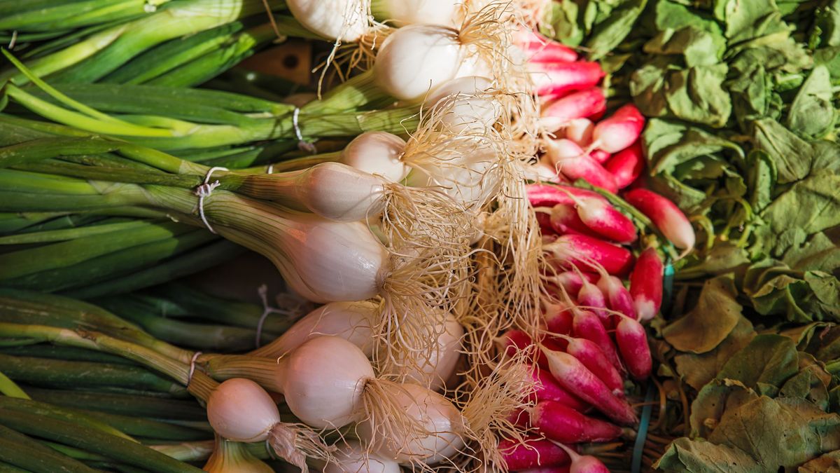 Wiosenne warzywa to realne wsparcie dla zdrowia.