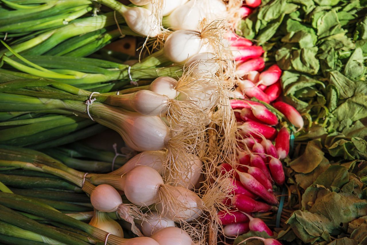 Najzdrowsze warzywa wiosny. Co jeść w kwietniu i maju?