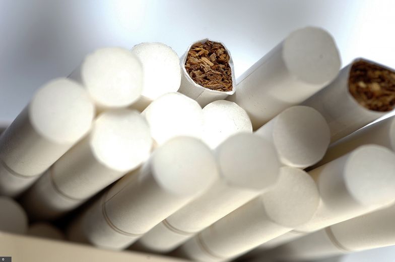 Branża tytoniowa wygenerowała 28,7 mld zł dochodów z podatków w 2019 r.
