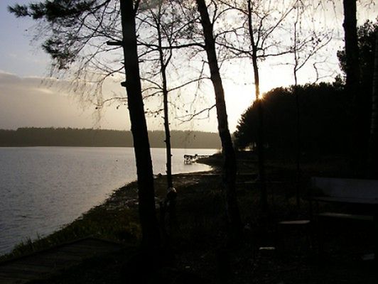 Obraz