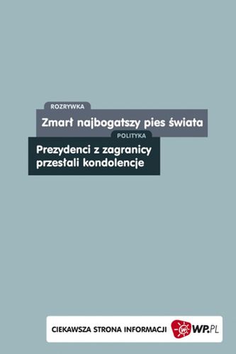 Obraz