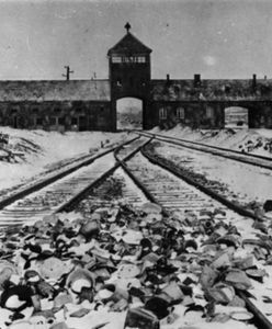 Ambasador RP przyjął wyjaśnienia ADL w sprawie Holokaustu