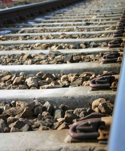 O krok od tragedii koło Serocka. Pociągi pasażerskie jechały wprost na siebie