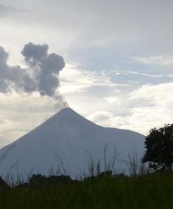 "Wulkan Ognia" w Gwatemali znów aktywny