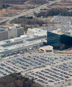 Rosyjski niedźwiedź zamachnął się na NSA? "To jedna z największych sensacji ostatnich miesięcy"